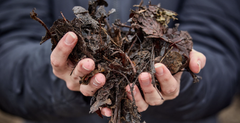 handen gevuld met Bokashi bladeren in de vorm van een hart