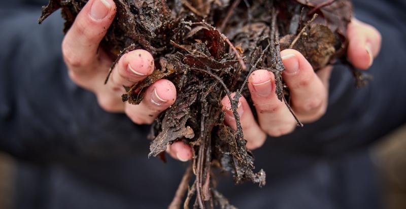 Twee handen vormen een kom met daarin bokashi