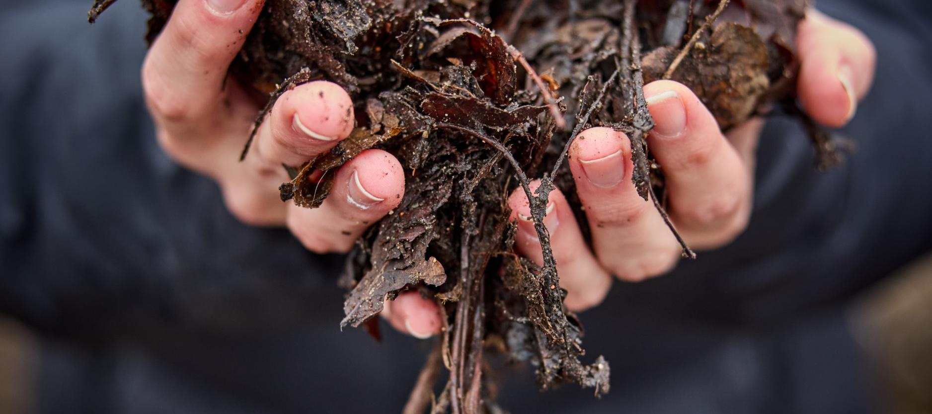 Twee handen vormen een kom met daarin bokashi