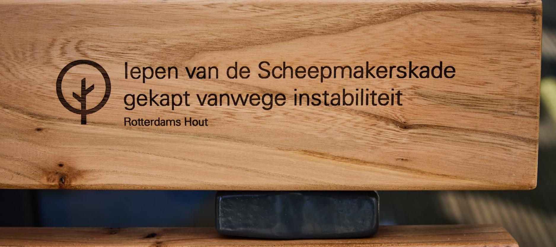 Op dit stuk hout staat van welke boom het is gemaakt