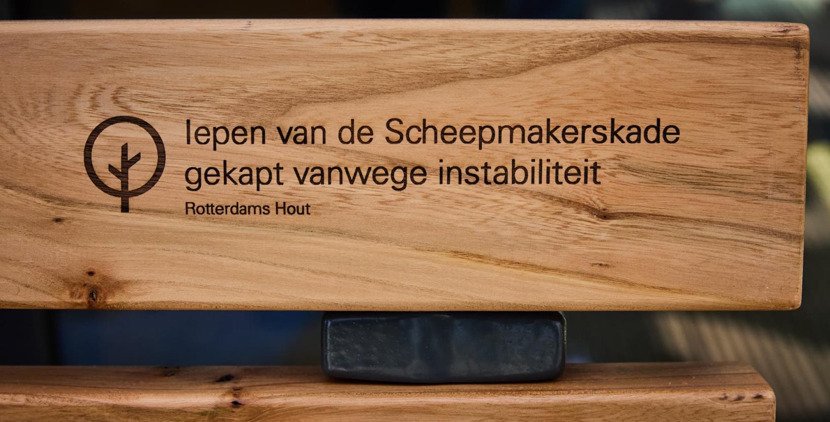 Op dit stuk hout staat van welke boom het is gemaakt